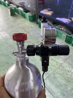 Bình nhôm co2 2 lít