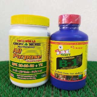 Combo B1 thái kích rễ + phân bón NPK 20-20-20