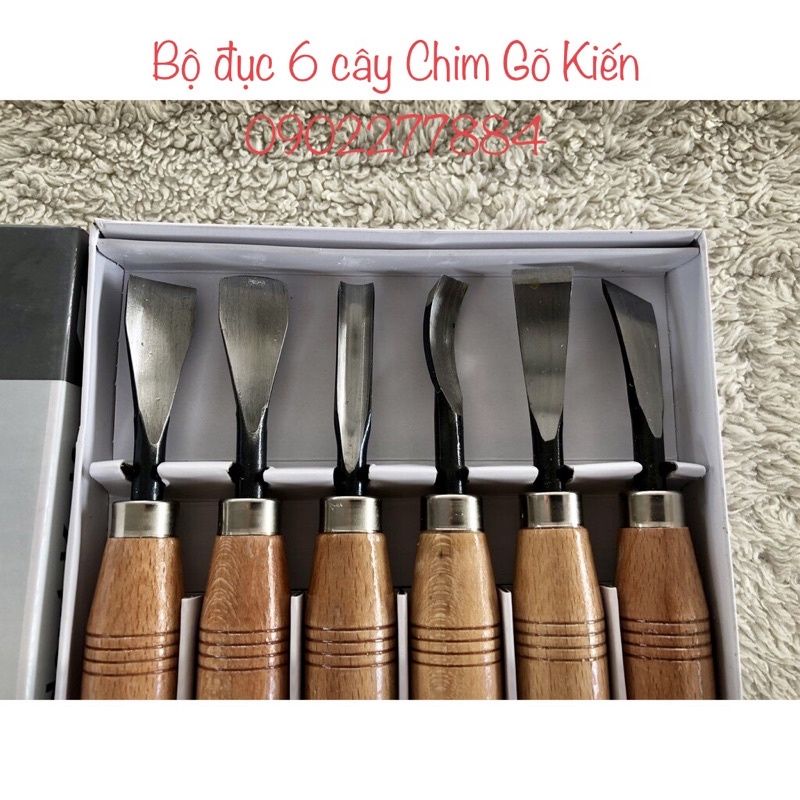 BỘ ĐỤC BONSAI CÂY CẢNH CHÍNH HÃNG CHIM GÕ KIẾN (COMBO 6 MÓN)