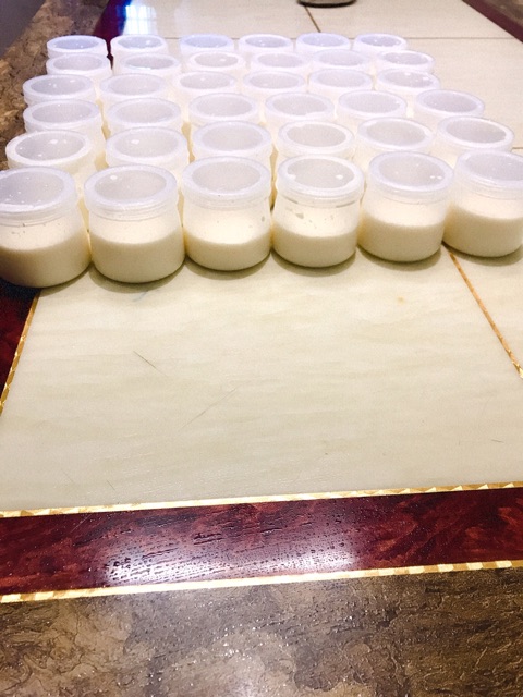 Set 200 hũ sữa chua 100 ml