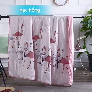 Chăn Zara Xuất Tag Mác Zara Home