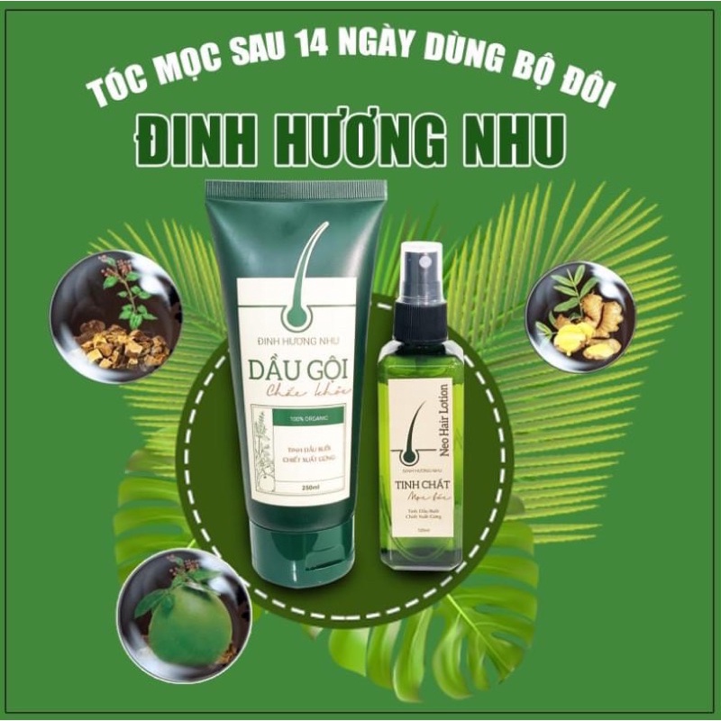 Combo Mọc tóc Đinh Hương Nhu Phục Hồi.Xịt Tóc.Dầu gội.Kích Mọc Tóc Nhanh 250ML+ quà tặng[Chính Hãng]