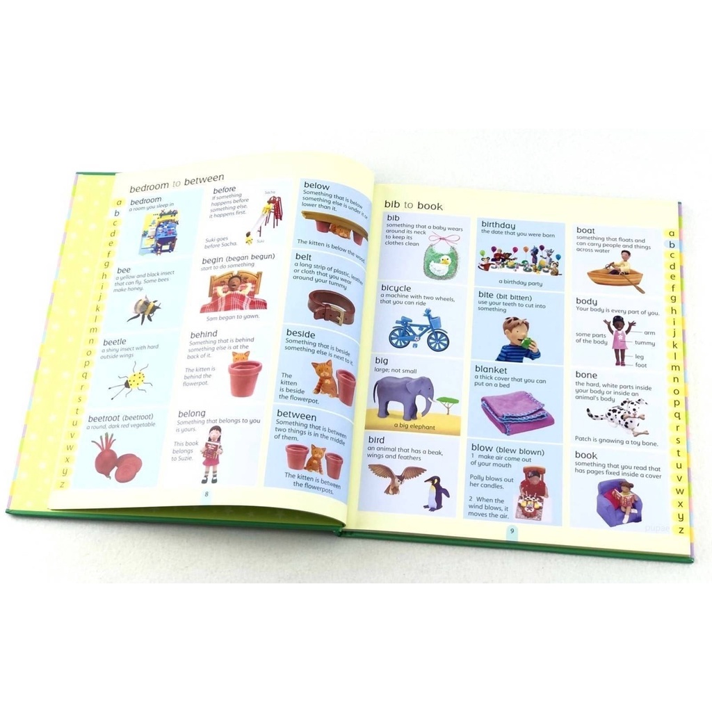 Sách - The Usborne English Picture Dictionary - học từ vựng tiếng anh qua hình ảnh cho trẻ em