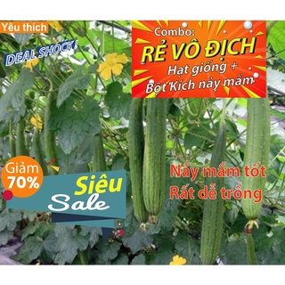 [Combo rẻ vô địch HẠT GIỐNG + GÓI HỖ TRỢ NẢY MẦM] - 5 HẠT GIỐNG MƯỚP HƯƠNG