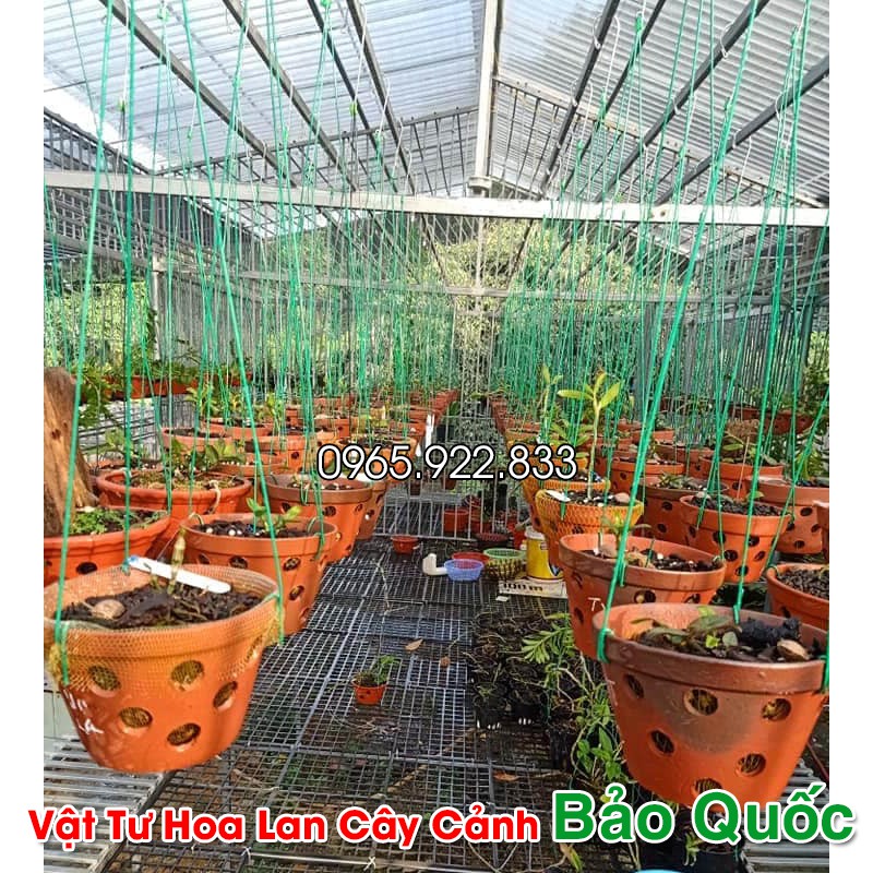 Móc Treo Chậu Lan Bọc Nhựa 80cm siêu bền chống gỉ