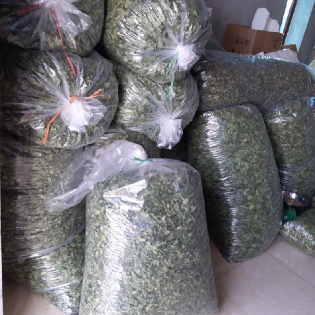 Lá găng làm thạch xanh 100g