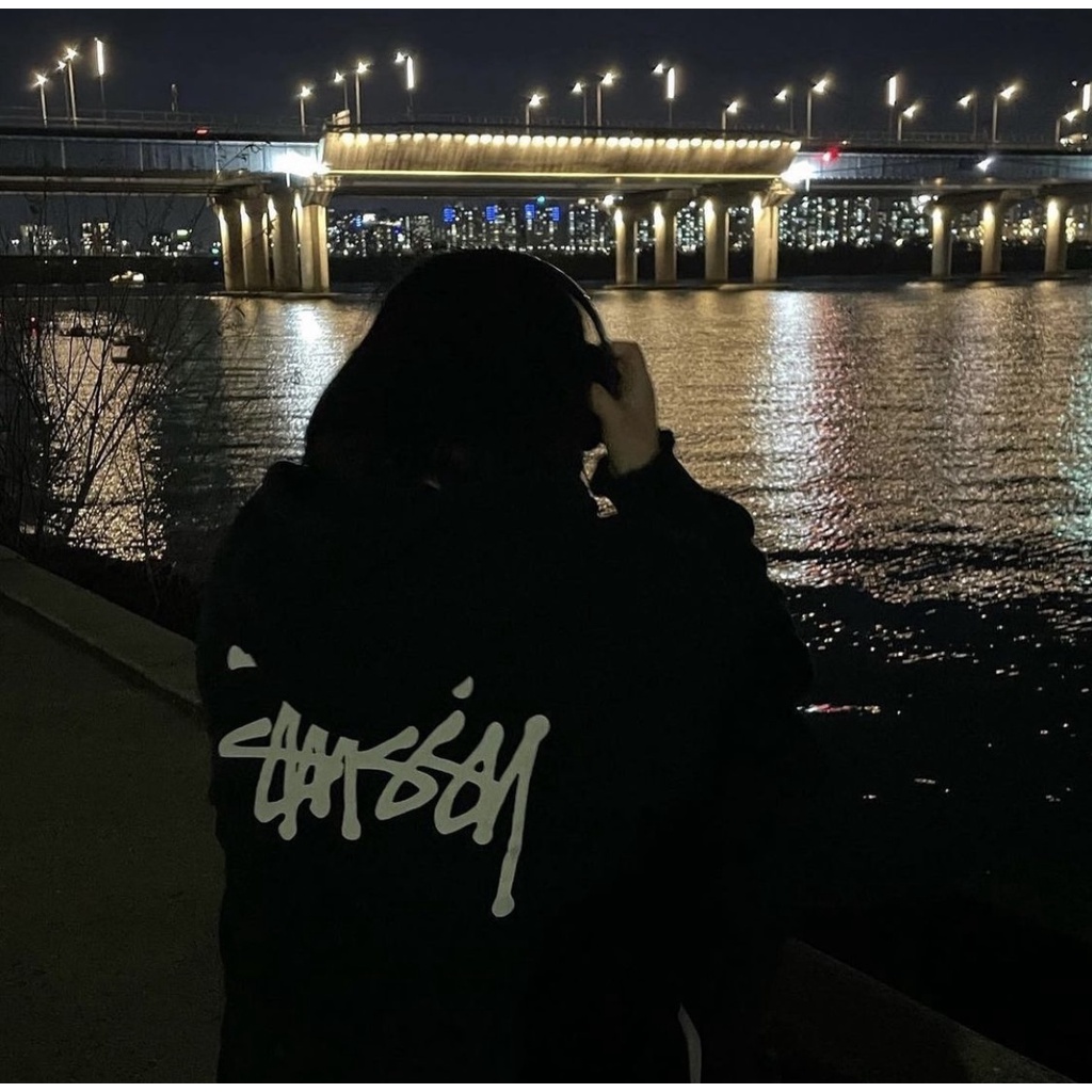 Hoodie stu.ssy basic