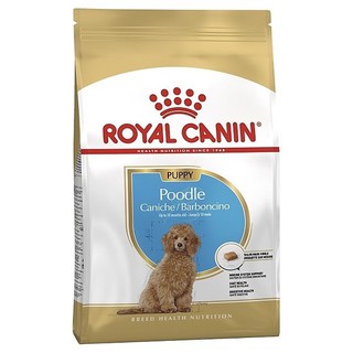 ROYAL CANIN POODLE JUNIOR ( 500g)