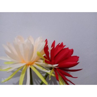 Hoa lụa chụp ảnh ( hàng order )