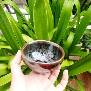1 chén Thiên Mục Du Trích Giọt Dầu