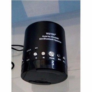 Loa bluetooth đa năng Wster WS-633BT