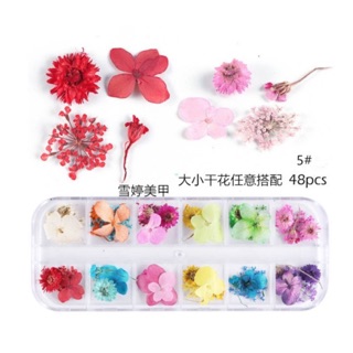 Hoa Khô ẩn móng Gel Nail siêu Hot