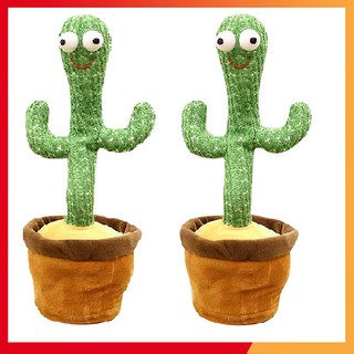 Cây Xương Rồng Nhảy Múa , Có 120 Bài Hát Và Ghi Âm