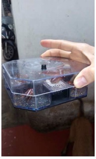 Máy bắt gián