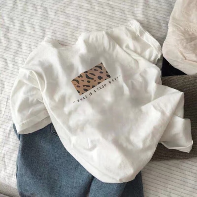 Áo phông cotton đồng giá 79k