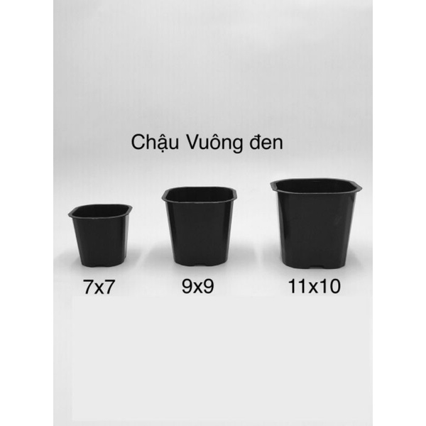 Chậu vuông đen nhựa cứng 3 size