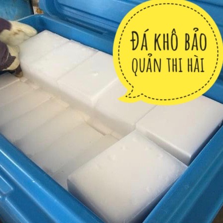 Đá khô bảo quản thi hài ( Ướp xác ) ở Hà nội combo 2 viên(3kg)