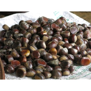 2kg Hạt dẻ sapa