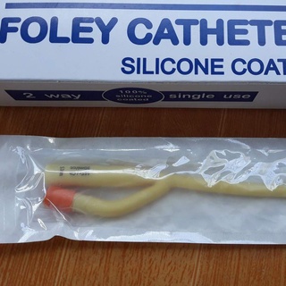 [ 10 CÁI ] THÔNG TIỂU FOLEY 2 NHÁNH SỐ 16