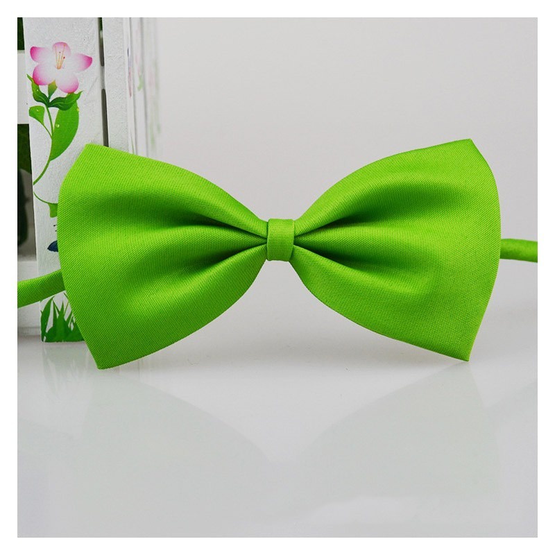 Vòng Cổ HìNh Nơ Xinh XắN Cho Thú Cưng