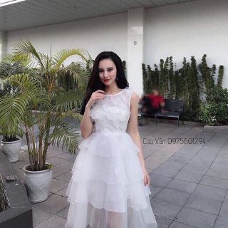 Đầm công chúa