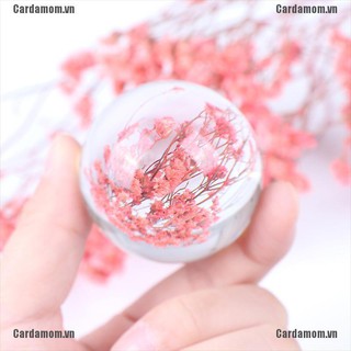 Quả cầu pha lê trong suốt xinh xắn dành cho trang trí