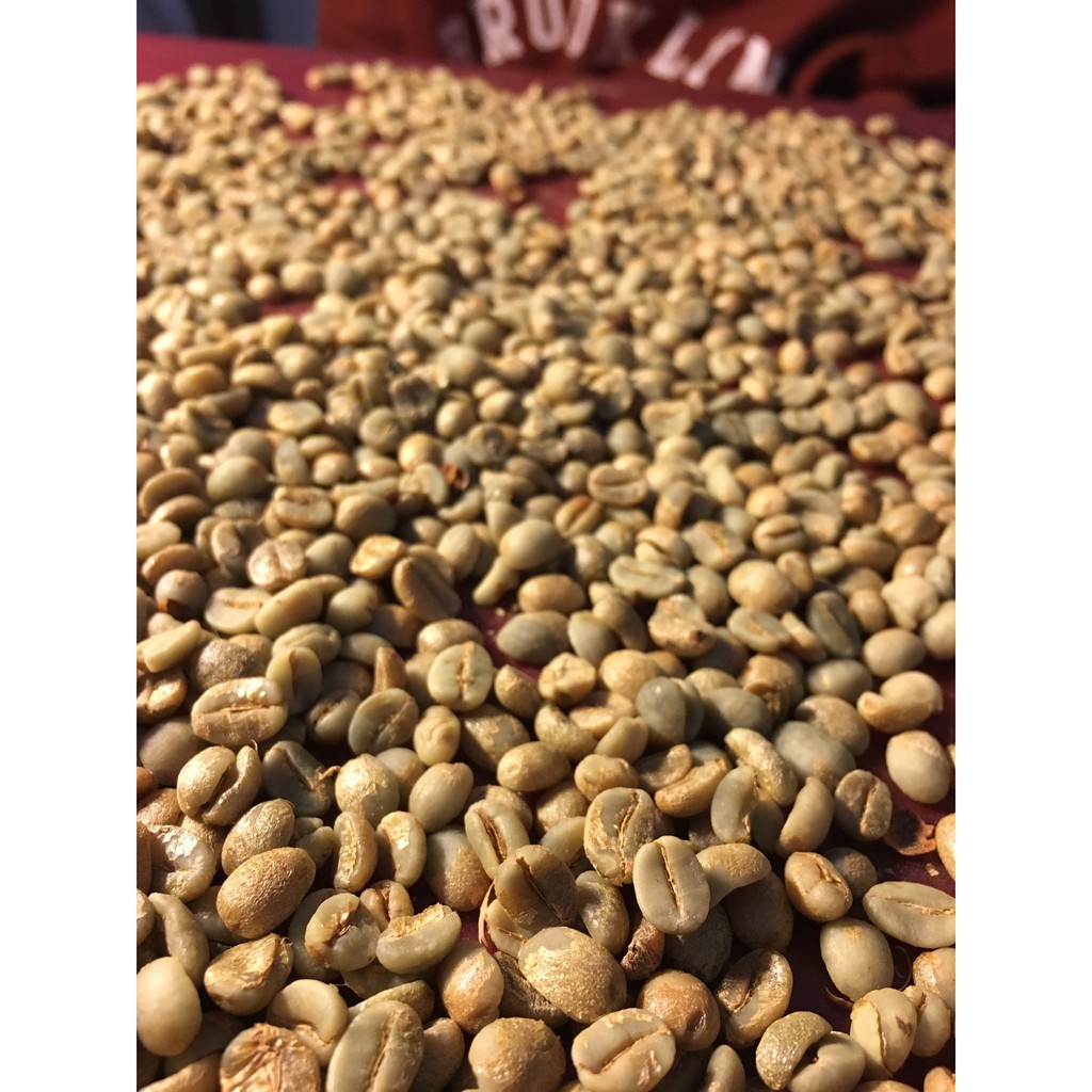 Cà phê hạt nhân xanh chưa rang arabica Sơn La natural 1 kg
