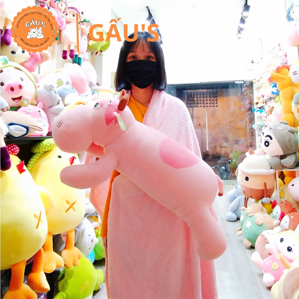 Gấu bông có mền Bò hồng dài ôm 70 cm  - GẤU SHOP