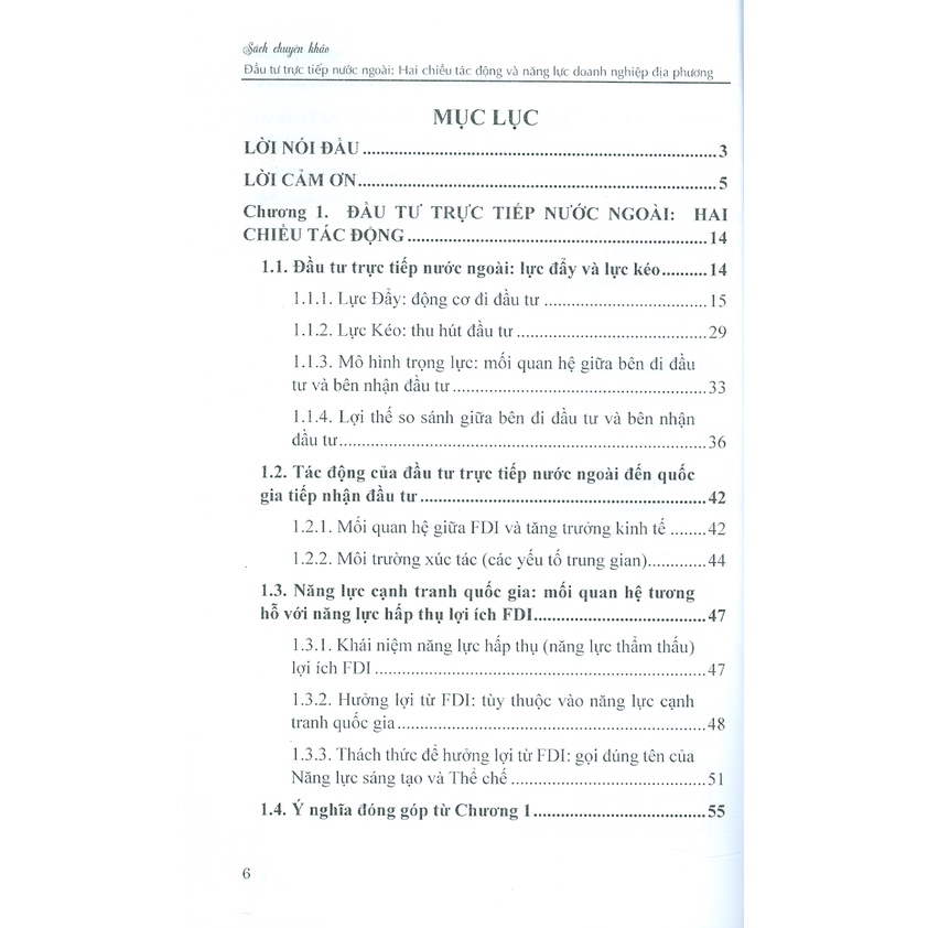 Sách - Đầu Tư Trực Tiếp Nước Ngoài: Hai Chiều Tác Động Và Năng Lực Doanh Nghiệp Địa Phương (Monograph Series 3)