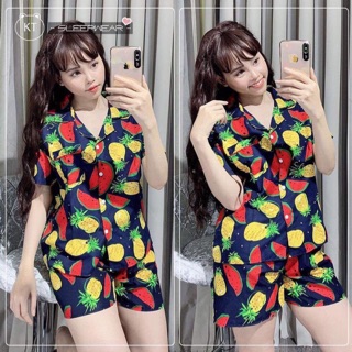 Bộ Hoa Quả đi biển