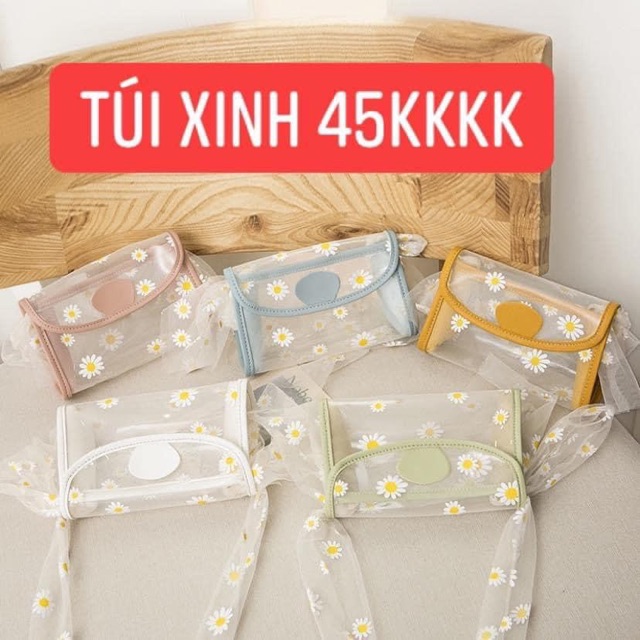 Túi trong hoa cúc