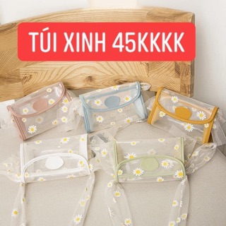 Túi trong hoa cúc