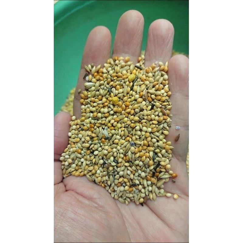 [Mã PET50K giảm Giảm 10% - Tối đa 50K đơn từ 250K] Hạt tổng hợp hàng ý dành cho Yến phụng gói nguyên seal 1kg