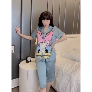 Bộ vịt lững