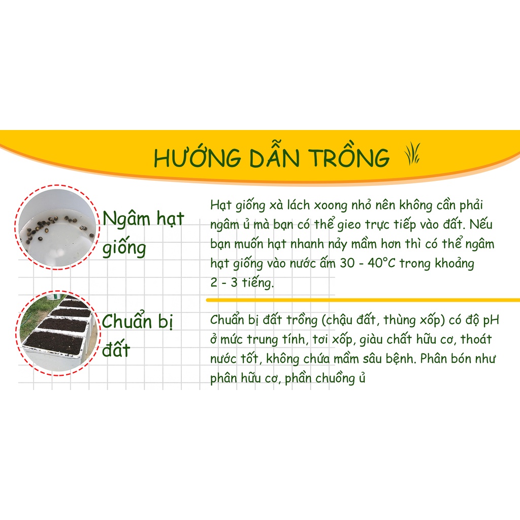 Hạt giống Xà Lách Xoong Dễ Trồng ( gói 0,5 Gram ) - Nông Sản Vàng