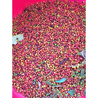 Hạt tiêu đen- sạch- Đăk Lăk nhà làm 100% - đặc biệt cay nồng