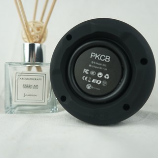 Loa Bluetooth Mini PKCB42 120