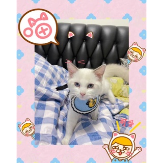 Yếm Vòng Cổ Cho Mèo 18-30cm
