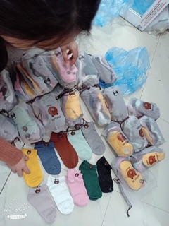 [SALE SỐC] TẤT GẤU 🐻🐻🐻🐻