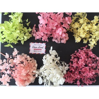 LẺ HOA CẨM TÚ CẦU KHÔ NHIỀU MÀU (5 gram)