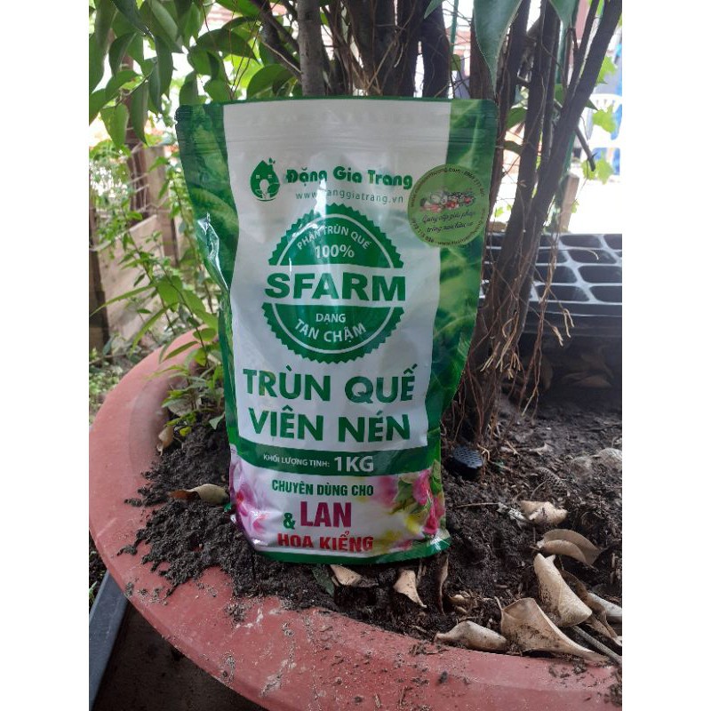 Phân Trùn Quế Viên Nén, Sfarm Đặng Gia Trang Tan Chậm Gói 1 kg Kích Chồi, Tạo Rễ, Hệ Vi Sinh Có Lợi cho Lan, Cây, Hoa