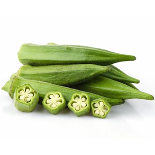 Hạt giống đậu bắp trái trắng 20gr