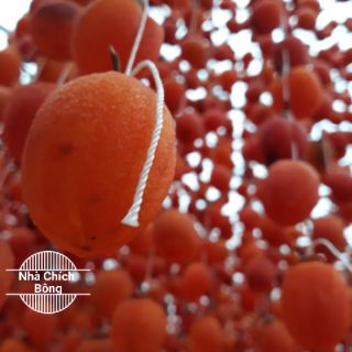 HỒNG SẤY GIÓ CÔNG NGHỆ NHẬT BẢN.