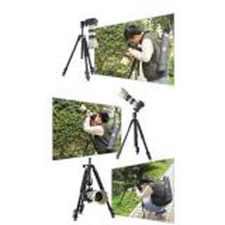 Chân máy ảnh Beike Q-304 (Q304)