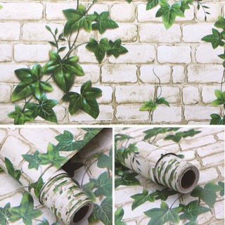 Giảm giá 10m mẫu dây leo xanh 🌿🌿