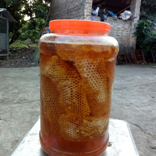 Mật ong rừng nguyên sáp hảo hạng 1kg