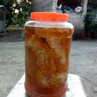 Mật ong rừng nguyên sáp hảo hạng 1kg