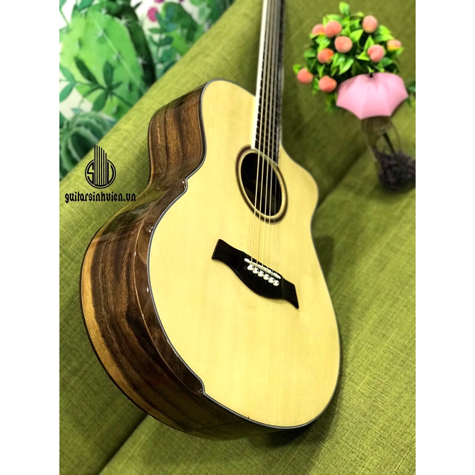 Đàn guitar gỗ điệp có beve SV-A5BVl chống đau tay - Đàn cao cấp - Tặng full phụ kiện