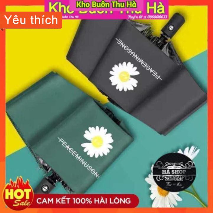 [ FREE - SHIP 50K ]  ô hoa cúc hót hít