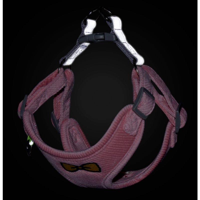 Dây Dắt Thú Cưng Đi Dạo Bằng Vải Nhung Thêu Hình Trái Tim Kích Thước Nhỏ Và Vừa